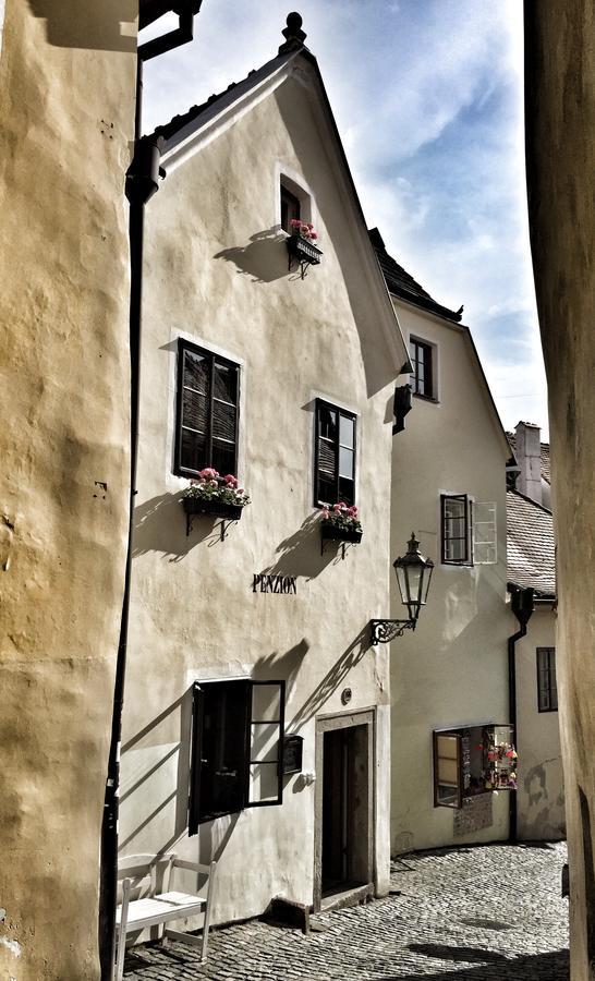 Penzion U Namesti - At The Town Square Cesky Krumlov Bagian luar foto